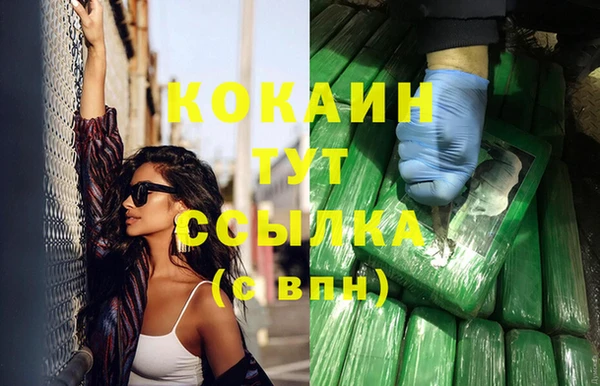сатива Заволжье