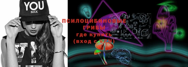 марихуана Заводоуковск