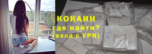 сатива Заволжье