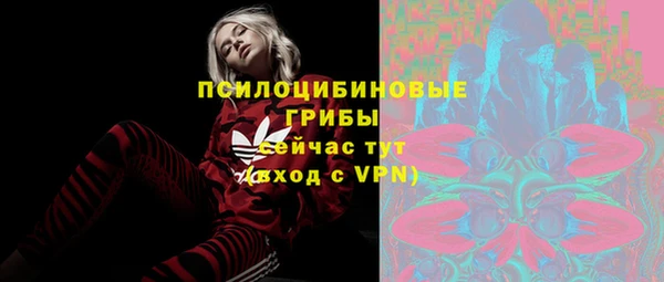 сатива Заволжье