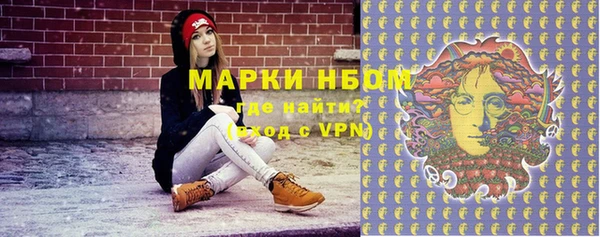 сатива Заволжье