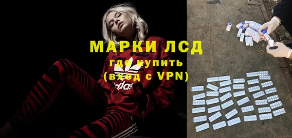 сатива Заволжье